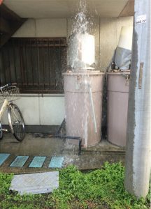 サンスベリア　塩ビ管